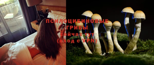 каннабис Верея