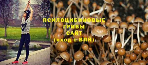 ECSTASY Сосновый Бор