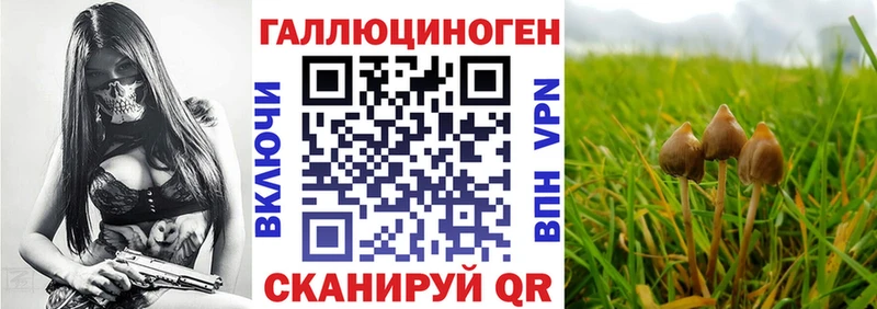 Галлюциногенные грибы GOLDEN TEACHER  кракен рабочий сайт  Новоузенск 